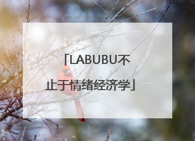 LABUBU不止于情绪经济学