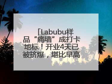 Labubu样品“痛墙”成打卡地标！开业4天已被挤爆，堪比早高峰菜市场