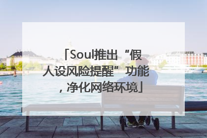 Soul推出“假人设风险提醒”功能，净化网络环境
